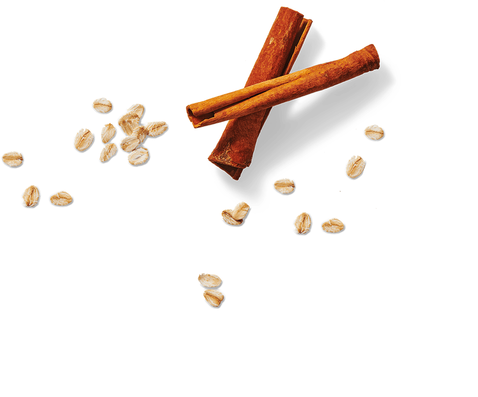 cinnamon-sticks-and-oats