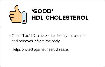 Good Cholesterol