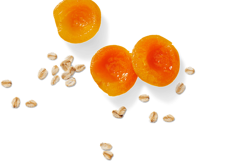 Flair #1 - Muesli Bar Chewy Apricot