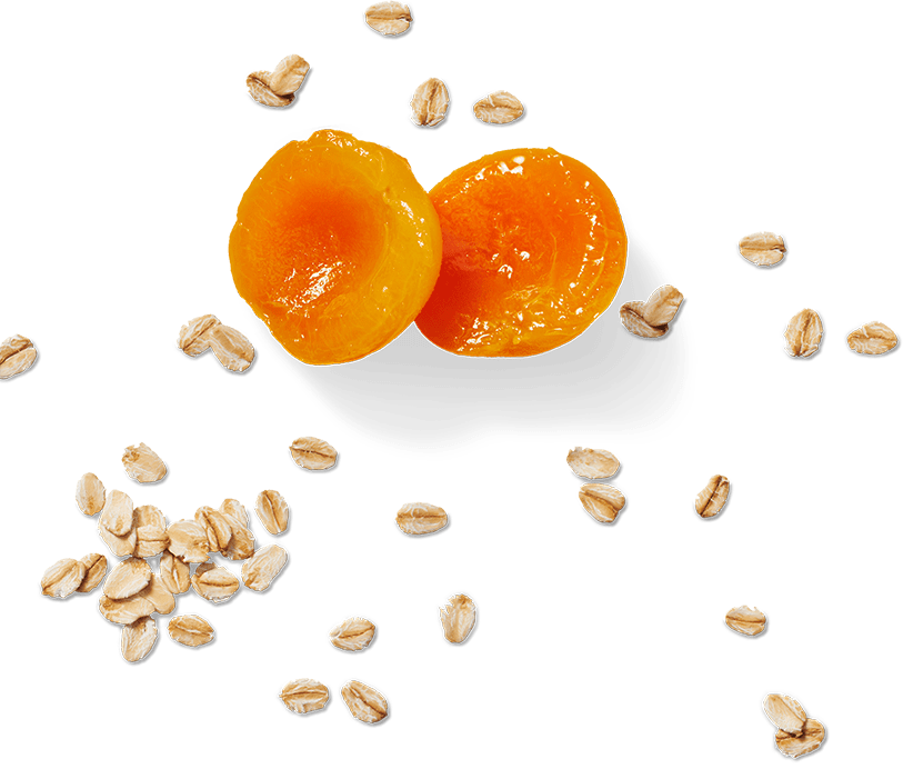 Flair #2 - Muesli Bar Chewy Apricot