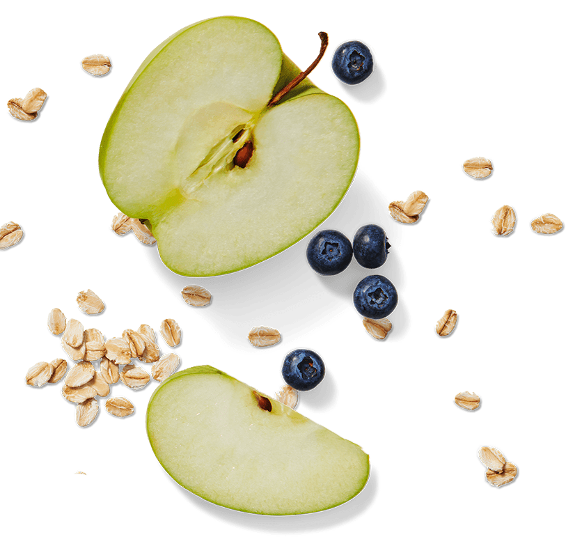 apple-blueberries-and-oats