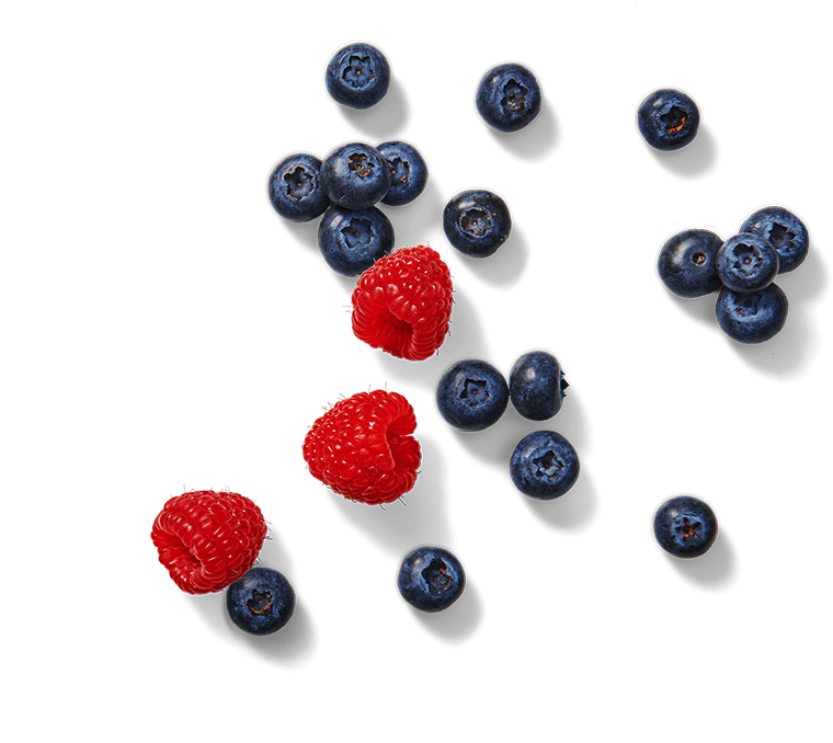 Flair #2 - Fruity Bites Wildberry