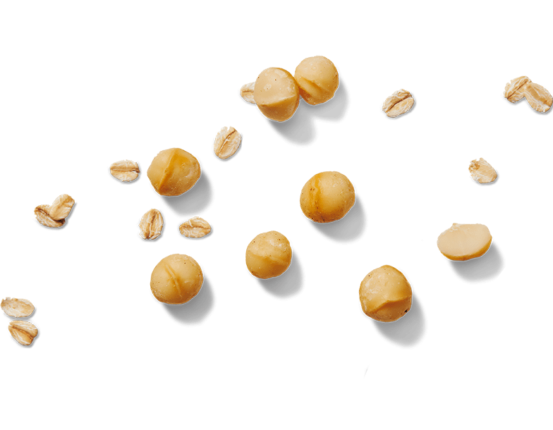 maccadamias-and-oats