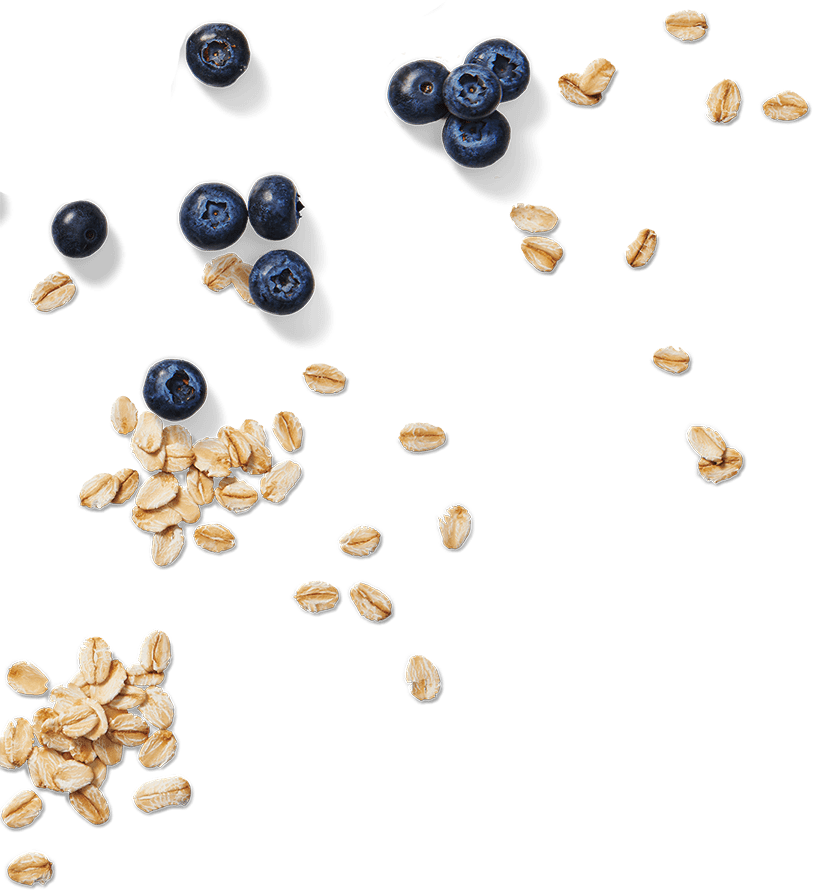 blueberries-and-scattered-oats