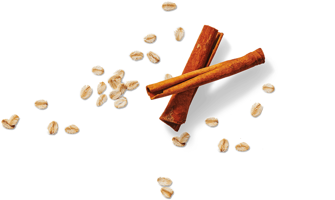 Flair #1 - Quick Sachets Brown Sugar & Cinnamon