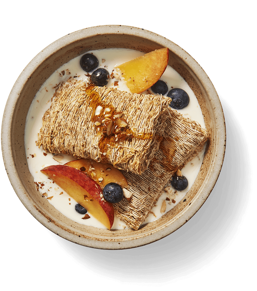 shredded-wheat-in-bowl-with-fruit