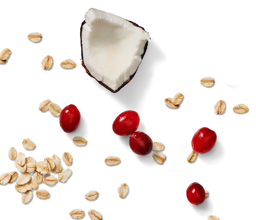 Flair #2 - Muesli Bar Cranberry Vanilla & Coconut