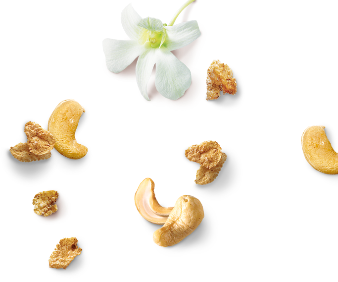 cashews-flakes-flower