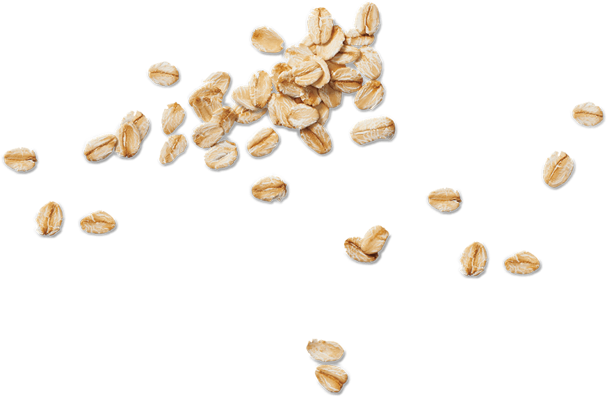 Flair #2 - Breakfast Bakes Peanut Butter