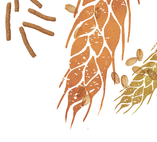 bran-and-illustrated-wheat