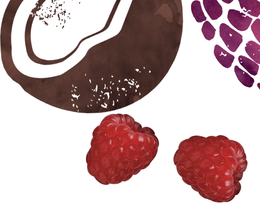 illustrated-berries-and-coconut