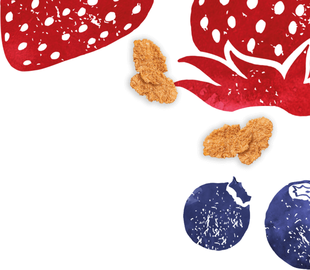 Flair #1 - Goodness Bowl™ Tasty Flakes Berry Flavour