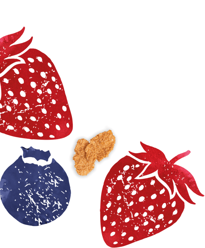 Flair #2 - Goodness Bowl™ Tasty Flakes Berry Flavour