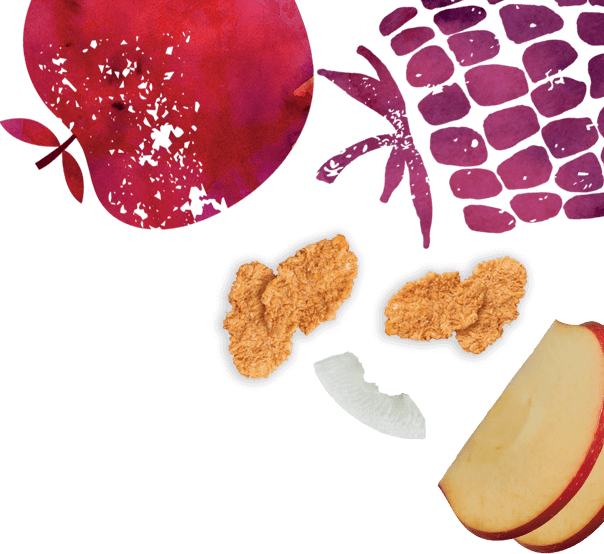 Flair #1 - Goodness Bowl Wholegrain Flakes Apple, Raspberry & Coconut
