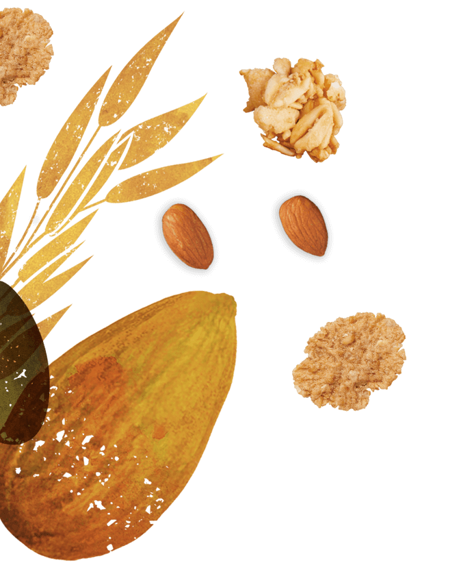 Flair #2 - Goodness Bowl™ Wholegrain Flakes Oat Clusters, Pumpkin Seeds & Almonds