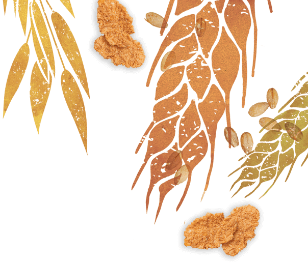 illustrated-oat-and-wheat