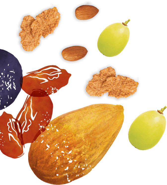 illustrated-fruit-almonds-grapes-flakes