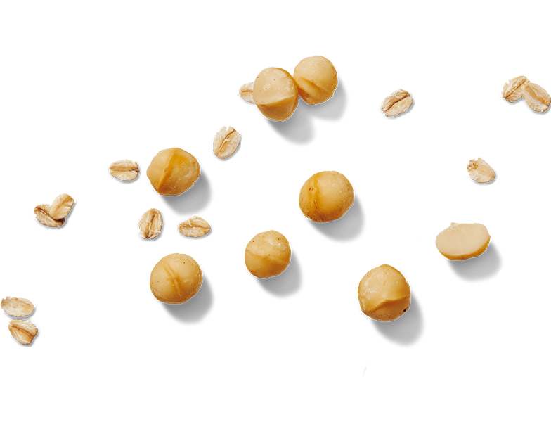 Oat Crisp Honey