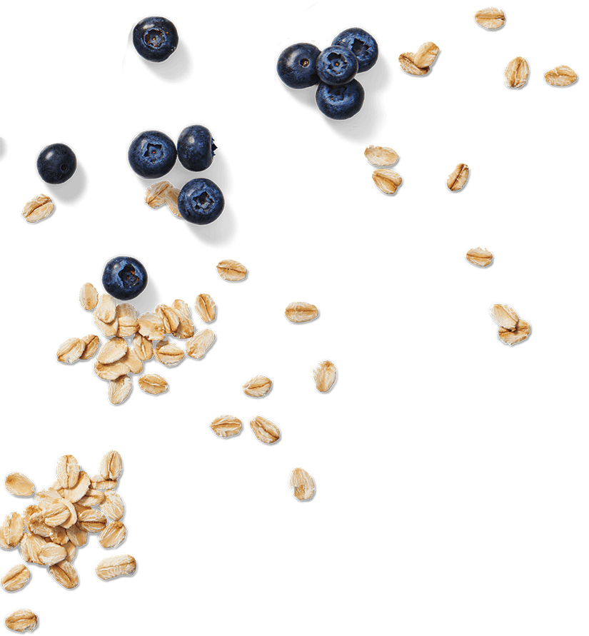 Quick Sachets Berry Variety Pack