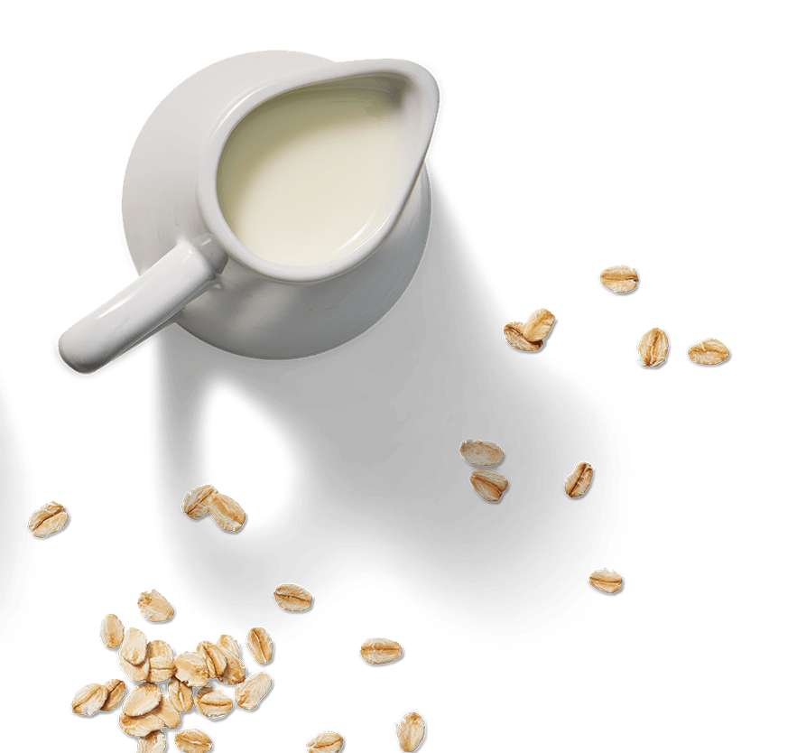 Quick Sachets Big Bowl Original