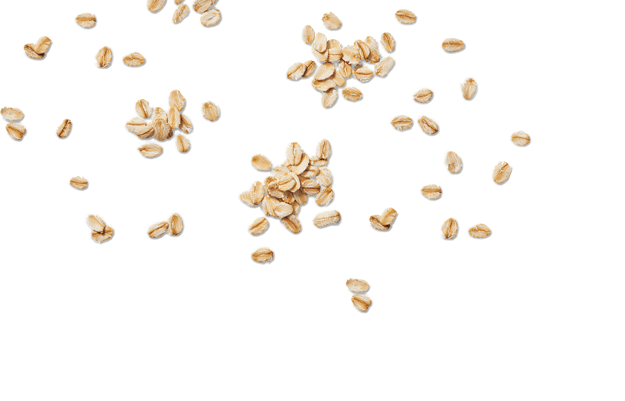 Quick Sachets Big Bowl Original