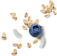 flair 1